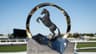 Will Ka Ying Rising win the 2025 TAB Everest?