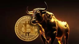 Bull run: September