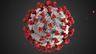 JN.1 most common COVID variant in US by Dec 23?