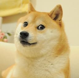 Will the Twitter home button still be DOGE on Wednesday?