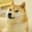 Will the Twitter home button still be DOGE on Wednesday?