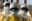 Ebola emergency by June 30?