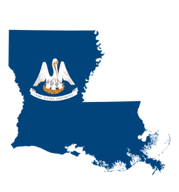 Louisiana Senate Election Winner