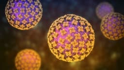 Hantavirus outbreak by June 30?