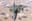 Will Israel strike Yemen on September 25 ET?
