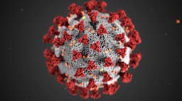 New pandemic in 2026?