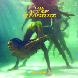 GRAMMYs 2024: Will ‘The Age Of Pleasure’ Janelle Monae win Album of the Year?