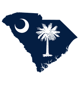 South Carolina Senate Election Winner