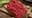 Will ground beef hit $10 per pound in 2026?