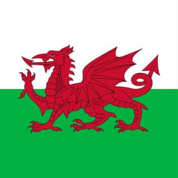 Will Wales beat Iceland?