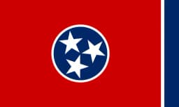 Will Diana Onyeijaka be the Democratic nominee for Senate in Tennessee?