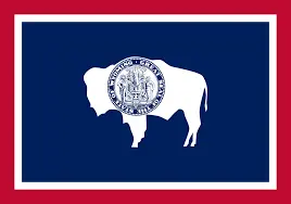 Will Megan Degenfelder win the 2026 Wyoming Governor Republican primary election?