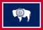 Will Megan Degenfelder win the 2026 Wyoming Governor Republican primary election?