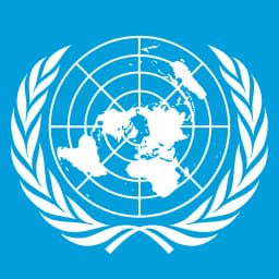 Will Rafael Grossi be the next Secretary General of the United Nations?