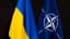 Ukraine agrees not to join NATO by June 30? 