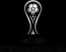 Copa Sudamericana: Winner