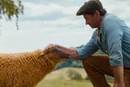 Will "The Sheep Detectives" Opening Weekend Box Office be between 12m and 15m?