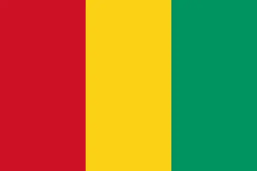 Will Mohamed Shérif Tounkara win the 2025 Guinean presidential election?