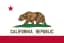 Will Connie Chan receive the most votes in the CA-11 primary?