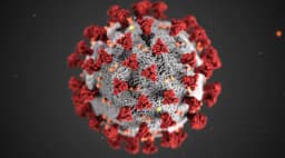 New pandemic in 2026?