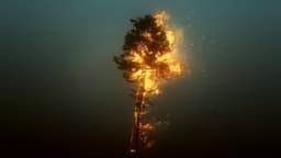 Will May 2024 show an increase between 1.24°C-1.30°C