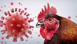 Bird flu pandemic before August 2025?