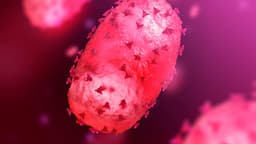 Confirmed case of monkeypox in US by Sep 30?