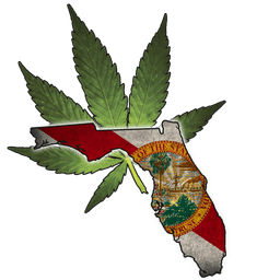 Will Florida legalize weed?