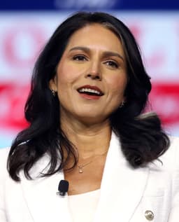 Will 49 Senators vote to confirm Tulsi Gabbard as as Director of National Intelligence?
