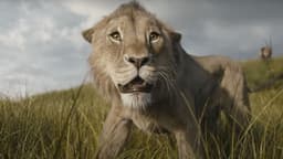 Will "Mufasa: The Lion King" Rotten Tomatoes score be between 60-69?