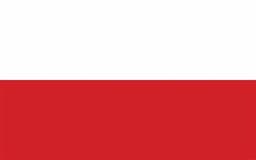 Will another candidate win the Polish presidential election?