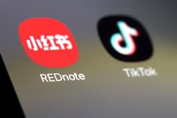 RedNote removed from App Store before July?