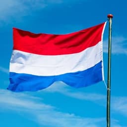 Will turnout be at least 81% in the Netherlands Parliamentary Election 2025?