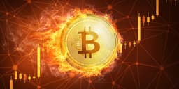 Will Bitcoin be between $98000 and $100000 on February 14?