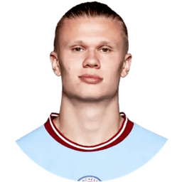 Will Erling Haaland be the top goalscorer in the EPL?