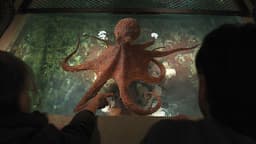 Will "Remarkably Bright Creatures" be the top US Netflix movie this week?