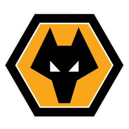 Will Wolverhampton beat Newcastle?