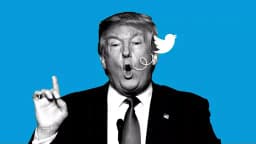 Will @realDonaldTrump tweet in 2022?