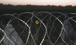 Russia x Ukraine buffer zone agreement by December 31?