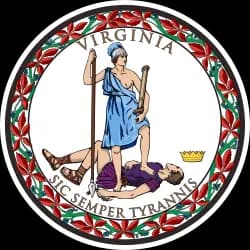 Will David Williams be the Republican nominee for Senate in Virginia?