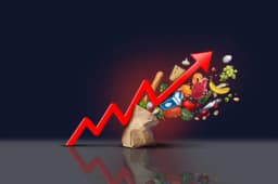 Will monthly inflation increase by 0.3% or less in December?