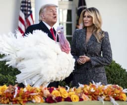 Will Trump say "Peanut" in November?