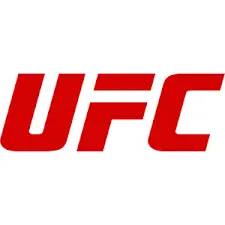 Will Magomed Ankalaev win win by KO?