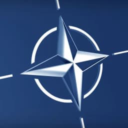 NATO article 5 in 2025?