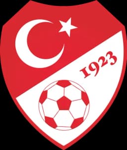 Will Turkey win the 2024 Euros?