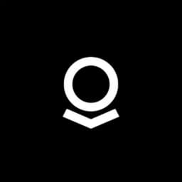 Will Palantir say "Gotham Platform" during earnings call?