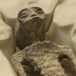 Are the Peruvian Aliens real?