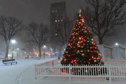 Will Miami have a white Christmas?