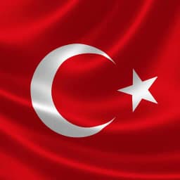 Istanbul Mayoral Election 2024: Will another party win?