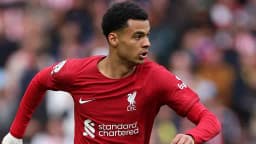 Will Cody Gakpo be Euro 2024 top scorer?